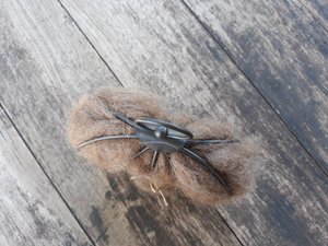 Narrow Bird Nester for Wall, Bird Nesting Llama Fibre, Gift for Garden, Housewarming present, Backyard Gift Idea, Eco Gift for home gardener