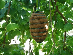 Hanging Bird Nester, Llama Fibre Nesting Material for Wildlife. Gift for Birds, Eco Friendly Garden, aged care home. Bird lover Christmas