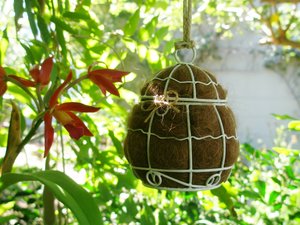 Small Bird Nester with Llama Fibre Nesting Material. Bird lover gift. gardener's gift idea. Boxed Mothers Gift for yard, housewarming