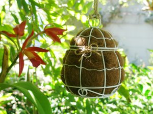 Small Bird Nester with Llama Fibre Nesting Material. Bird lover gift. gardener's gift idea. Boxed Mothers Gift for yard, housewarming