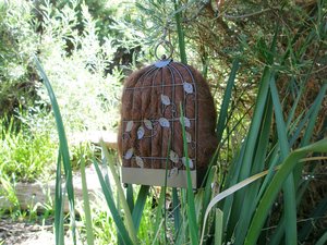 Narrow Bird Nester for Wall. Bird Nesting Llama Fibre Gift for Garden. Housewarming or Backyard Nature Gift Idea. Eco home gardener