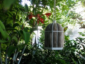 Small Native Bird Nester with Llama Fibre to hang near bird feeder or bird bath for nesting birds to use