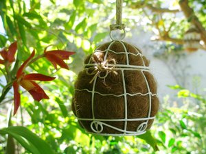 Small Bird Nester with Llama Fibre Nesting Material. Bird lover gift. gardener's gift idea. Boxed Mothers Gift for yard, housewarming
