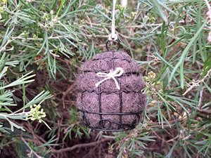 Small Bird Nester in gift box. Llama Fibre Nesting Material for gardeners and bird lovers. Backyard birdbath / feeder accessory