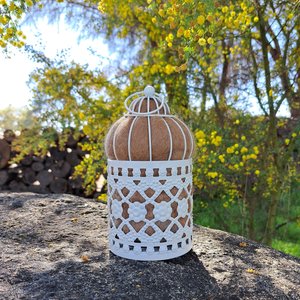 Bird Nester for native birds. Home maker gift with llama fiber nest building material from Australia. Outdoor Decorative Style