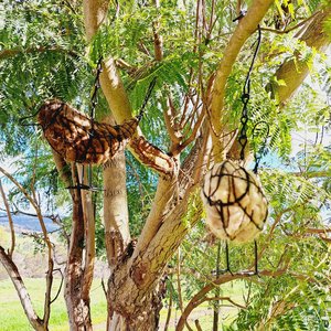 Larger Llama fibre bird nester for outdoor gift. Idea for home gardener and nature lover full of natural nest material for nesting birds