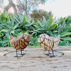 Larger Llama fibre bird nester for outdoor gift. Idea for home gardener and nature lover full of natural nest material for nesting birds