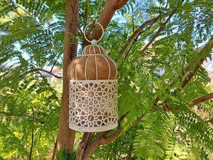 Bird Nester for backyard birds. Housewarming gift with llama fiber nest building material from Australia. Outdoor Lantern Style
