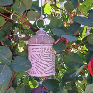 Bird Nester packed with Llama Fiber Nesting Material to for Native Birds in your Garden. Outdoor lantern Gift Idea for nature lover