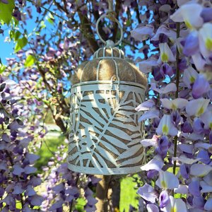 Bird Nester packed with Llama Fiber Nesting Material to for Native Birds in your Garden. Outdoor lantern Gift Idea for nature lover
