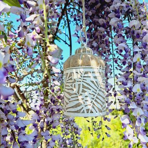 Bird Nester packed with Llama Fiber Nesting Material to for Native Birds in your Garden. Outdoor lantern Gift Idea for nature lover