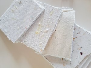 20 Pieces of 2.5 x3.5" Handmade Recycled Paper in Neutral tones, many with botanicals throughout