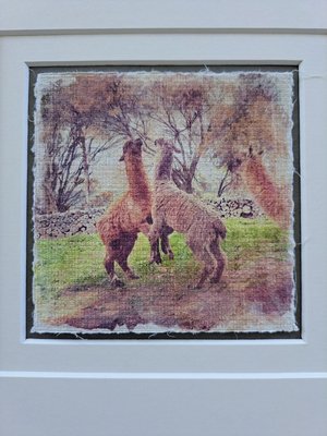 llama artwork "Playtime"