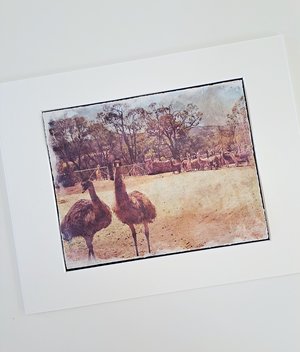 Llama artwork "Emus out Front"