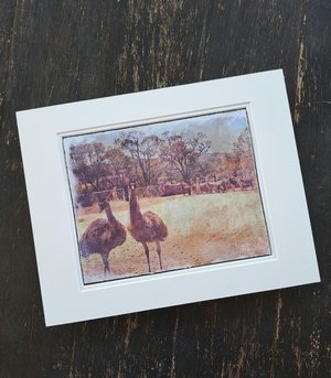 Llama artwork "Emus out Front"