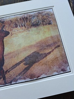 'Llamas of Fox Hill' print series. "Shadow in the Paddock"