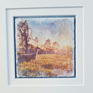 sunlit llama resting artwork