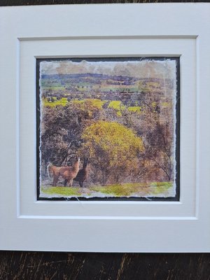 Mini llama artwork "Two to the Side"