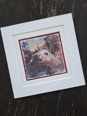 Mini llama artwork "Callistemon Treat"