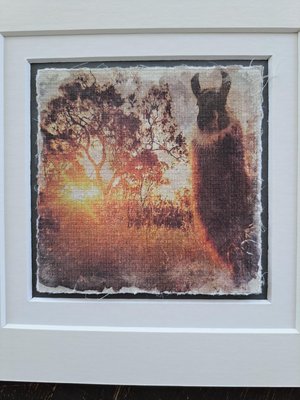 Miniature llama artwork "Sunlit Paddock"