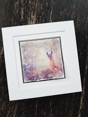 Llama Art  "Smile in the Mist"