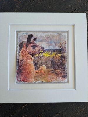 Mini Llama Print. "Flower Girl"