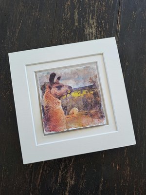 Mini Llama Print. "Flower Girl"