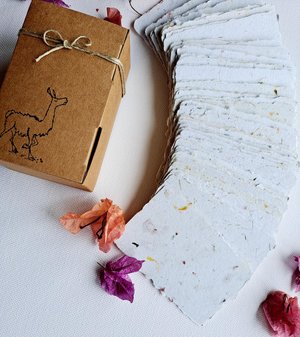 50 Handmade Recycled 2x3 Cards, Neutral, Blank Homemade Paper, Calling, Gift, Florist, Loyalty, Thank You, Letterpress, Wedding Place Card