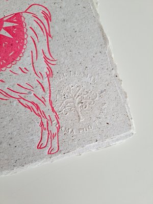 No Drama Llama Journal: Handmade Recycled Paper with Llama Poo!!
