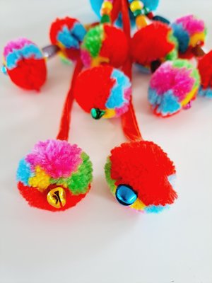 Llama or Alpaca Bright Show Accessories for halter.