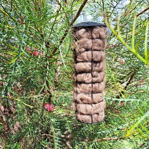 Llama Fibre Bird Nester: Natural Nesting Material in Black Holder