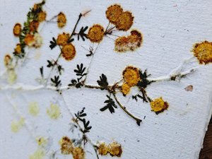 Flower Handmade recycled paper journal / notebook with binder rings and botanicals / petals. Extra pages available.