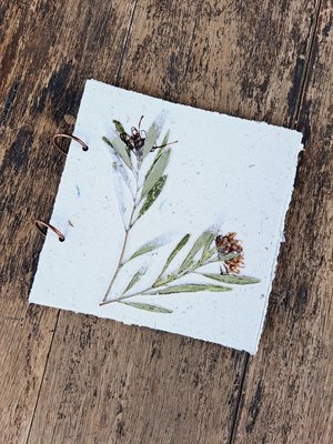 Handmade recycled paper journal / notebook with wattle or grevillea cover, binder rings and pages with botanicals / petals. Add Extra pages