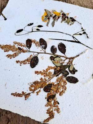 Handmade recycled paper journal / notebook with dried flower cover, binder rings and pages with botanicals / petals. Extra pages available.