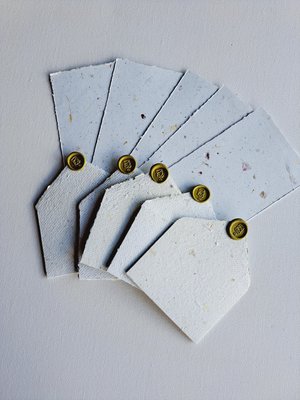 MINI Handmade Recycled Paper  note and envelope set with botanicals in gift box