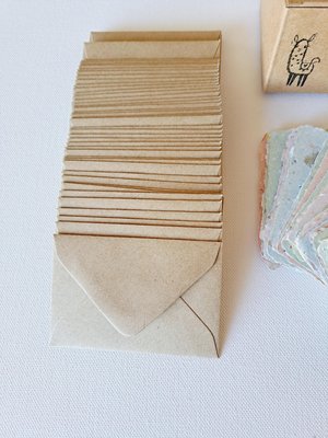 Mini Pregnancy Announcement Cards and Envelopes - 50 Blank Papers with Brown Envelopes