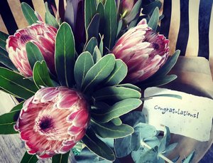 Sample for Australian florists.  Handmade recycled paper with messages - motivational and sentimental mini cards.