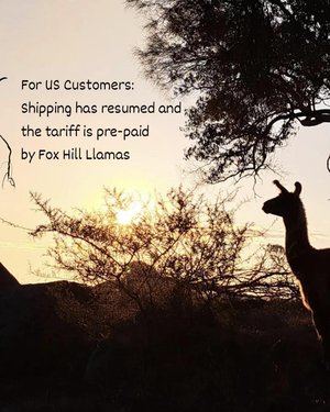 Fun Llama / Alpaca Halter Tassels and Pompoms