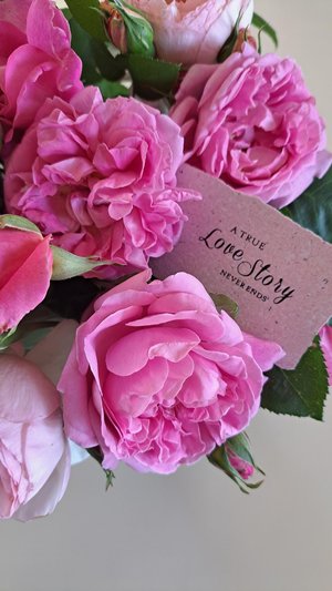 Sample for Australian florists.  Handmade recycled paper with messages - motivational and sentimental mini cards.