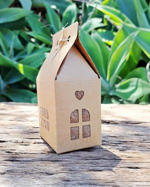Small Bird Nester in Gift Box with refill. Llama Nest Building Wool for nature lovers and wild backyard garden birds.