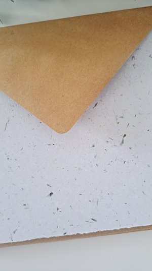5 Sheets of 6x6 inch Handmade Recycled Paper with grass / lawn with square brown envelopes