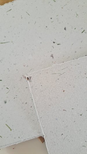 5 Sheets of 6x6 inch Handmade Recycled Paper with grass / lawn with square brown envelopes