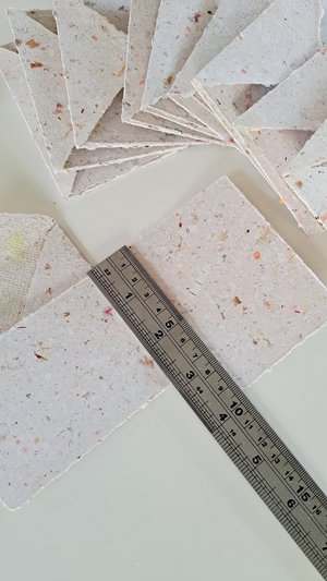 MINI Handmade Recycled Paper stationery set of 10 sheets and 10 envelopes with botanicals - Gift Boxed.
