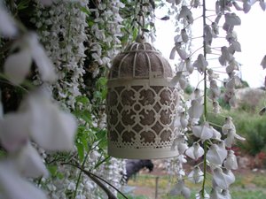 Bird Nester with Llama Fibre Nesting Material to Attract Native Birds to your Garden. Outdoor lantern. Birthday Gift Idea