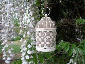 Bird Nester with Llama Fibre Nesting Material to Attract Native Birds to your Garden. Outdoor lantern. Birthday Gift Idea