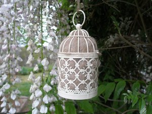 Bird Nester with Llama Fibre Nesting Material to Attract Native Birds to your Garden. Outdoor lantern. Birthday Gift Idea