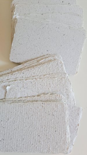 45 Llama Poo Paper Business Cards, Blank Hand-made Recycled Paper with deckle edge