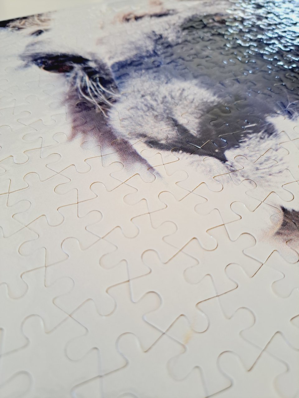A3  300 Piece Jigsaw Puzzle - Shadow