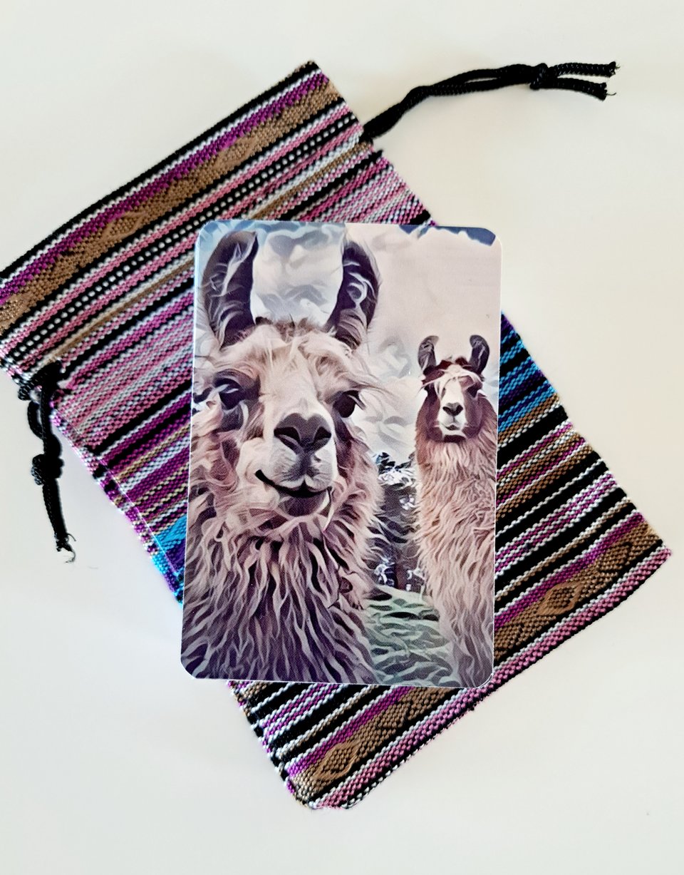 Llamas playing cards