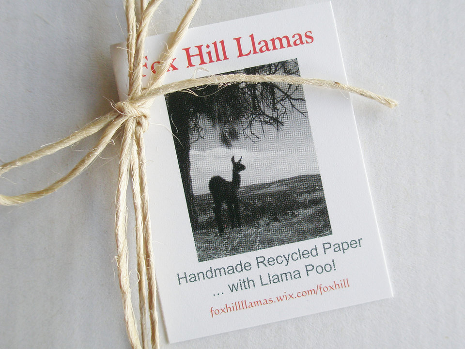 Llama Poo Card Set with Brown Envelopes, 4 Mini Handmade Recycled Llama Poo Paper Cards, hand stamped envelopes